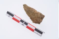 Foto von Tierknochen (NHMW-PRAE-003427a)